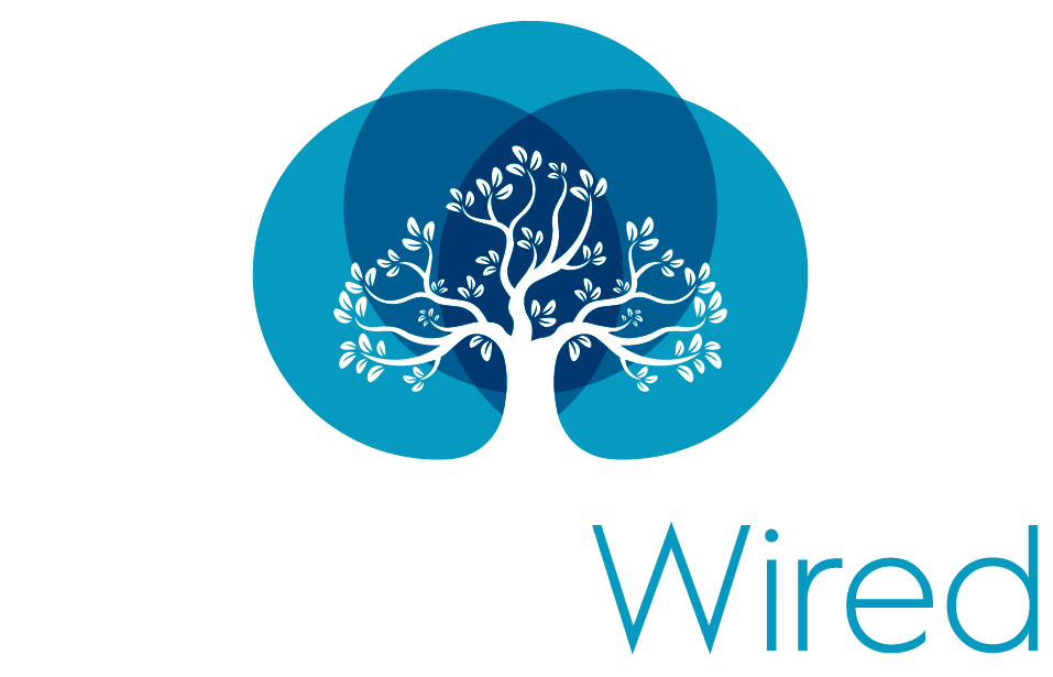 Wealth-Wired-logo-01